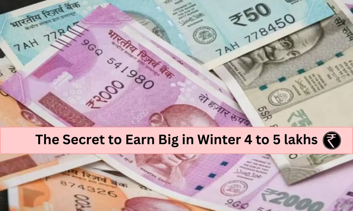  Earn Big in Winter Work Just 4-5 Hours Daily and Makeup to 5 Lakhs in Four Months 