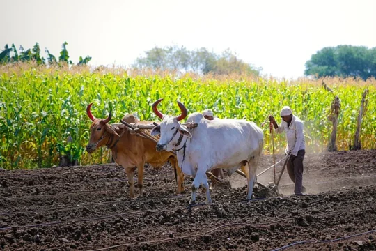 ₹24000 crore agriculture scheme