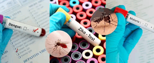 WHO Launches Global Guidelines for Arboviral Diseases.