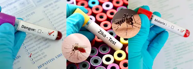 WHO Launches Global Guidelines for Arboviral Diseases.