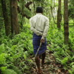 Kalajhar Uses Forest Rights to Load Local Conservation