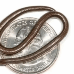 Barbados Threadsnake: Smallest Snake Discovered