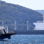 Wildfire Closes Turkey’s Dardanelles Strait 