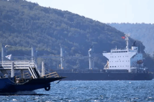 Wildfire Closes Turkey’s Dardanelles Strait 