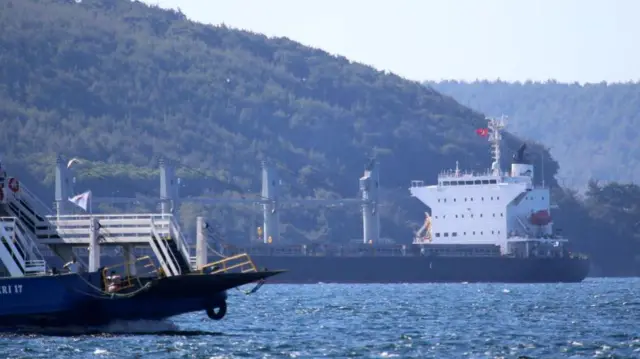 Wildfire Closes Turkey’s Dardanelles Strait 