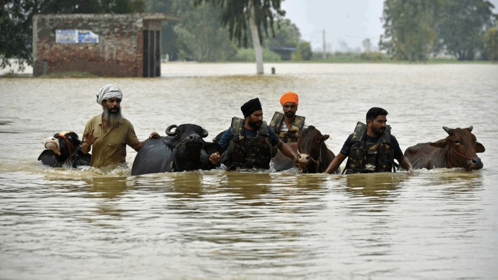Punjab Floods Kill 30 and Damage 1,400 Villages 